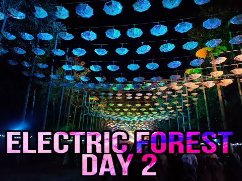 ELECTRIC FOREST DAY 2