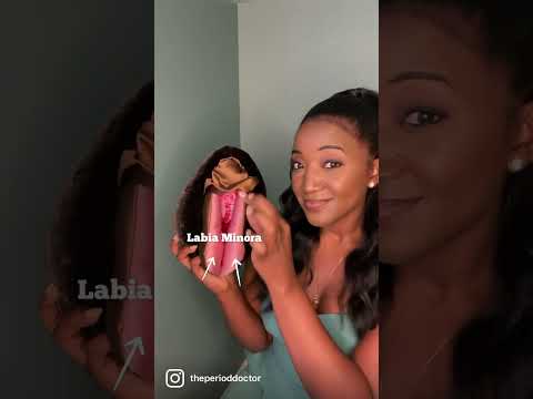 How to find the vagina when inserting menstrual products. #menstruation #doctor #periodeducation