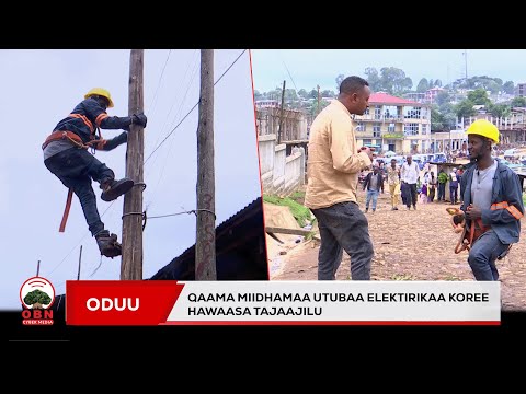 Qaama miidhamaan utubaa ibsaa koree hawaasa tajaajilu