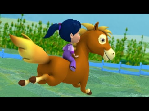 Little Horse video
