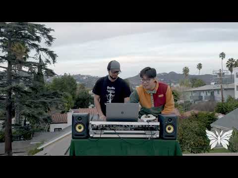 Basscamp Sessions Vol. 2 | DENALI (Liquid DnB / DnB) (DJ Set)