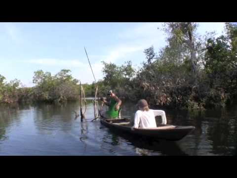 Le Jaconda et le Jacari