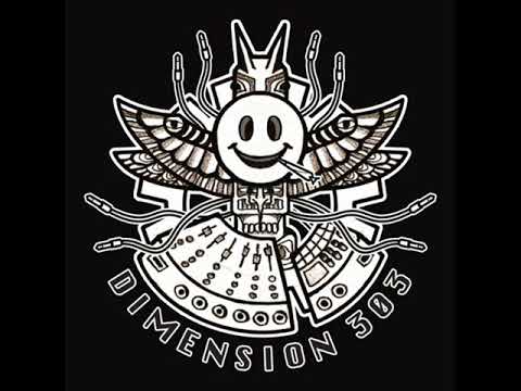 Dimension303 - Lysergic Tribe