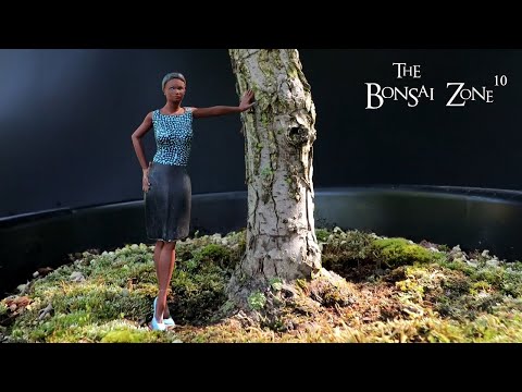 Pruning My American Elm, The Bonsai Zone, July 2023