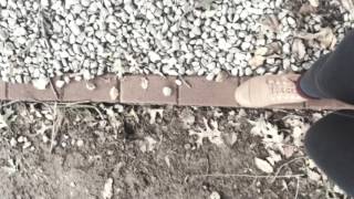 Intro to my day // twin rivers by big scary