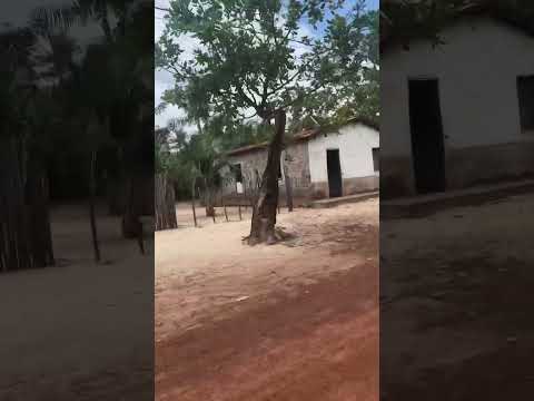 Matando a saudade do Maranhão  #saudade #maranhão #cantanhede