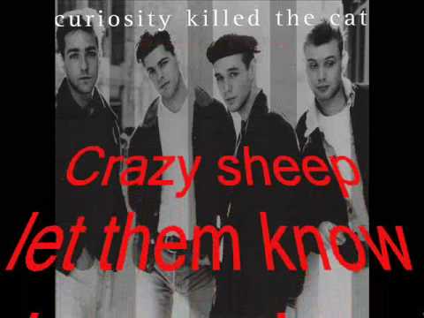 Curiosity Killed the Cat Misfit (video with lyrics)-HQ