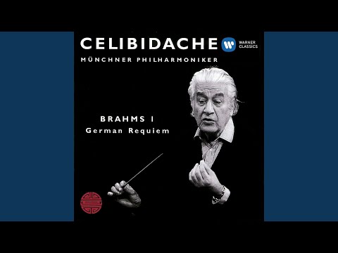 Ein deutsches Requiem Op. 45: III. Herr, lehre doch mich (Andante moderato)