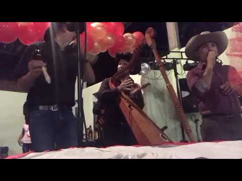 Gaban y Pajarillo- Agrupación llanera YO JOROPO