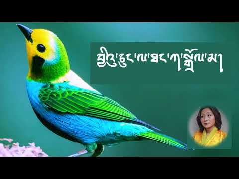 Juchung Thangka Dema by Dechen Pem/ Karaoke