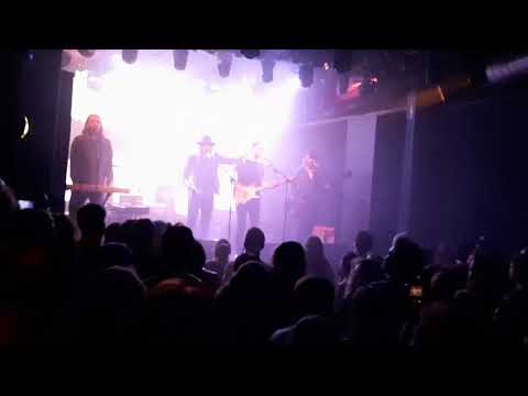 Friska Viljor - Wohlwill, Flex Wien 29.4.2024