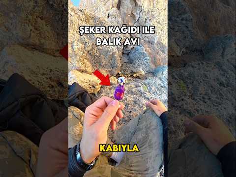 Şeker Kağıdı İle Balık Avı!