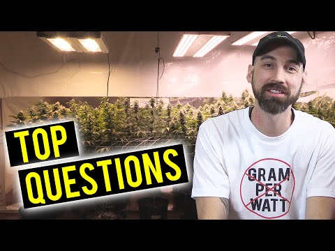 Humidity Ranges, When Flowering Starts, Re-Using Soil, 24/7 Light Cycle - Q&A #03