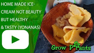 Home made Ice-cream Healthy & Tasty ( only frozen fruits without Chemicals)
