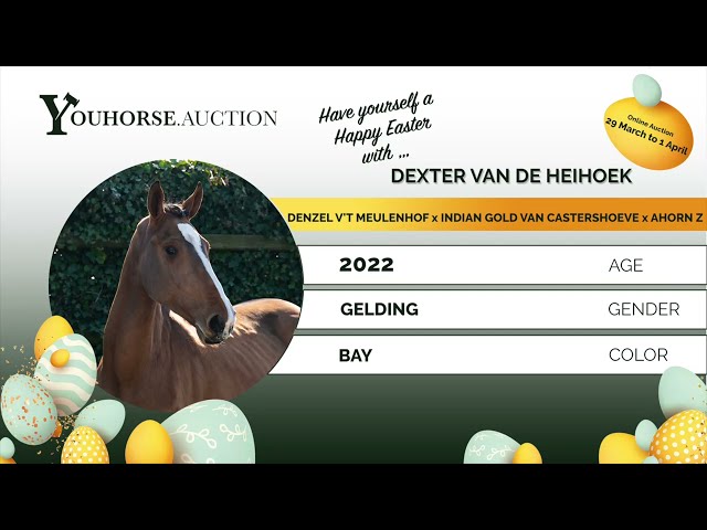 Dexter van de Heihoek