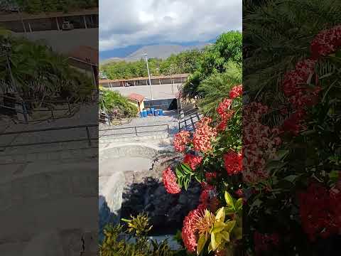 Mercado de cabañas, Zacapa, Guatemala #100% Guatemala 502.