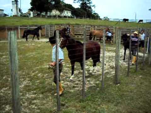 Cabanha Tabapuã,Apresentando Itaipu do Poncho Negro na concentracao dos Garanhoes.