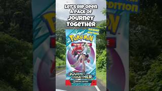 pull up and rip open a pack of journey together with me in o’ahu 🤙🏽 #pokemon #pokemoncards #tcg