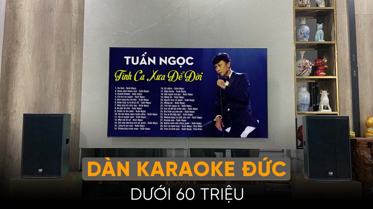 video Dàn karaoke SE Audiotechnik K-12i TVA1602024 0