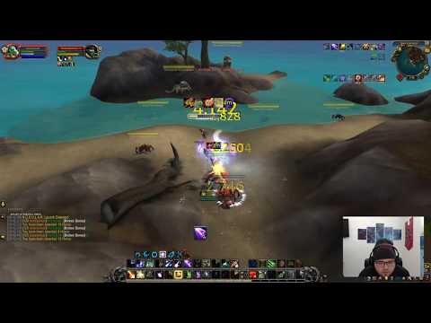 THE ULTIMATE COMBO! Balance druid and Ret paladin pvp 8.1.5