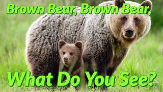 Brown Bear, Brown Bear, What Do You See? (Read Aloud) CORE WORD SEE gameplay video by pstone, 2:46 duration