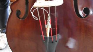 DB504T Christopher Upright Bass Double Bass Performance Series