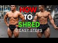HOW TO SHRED MADE EASY (100% GUARANTEE)