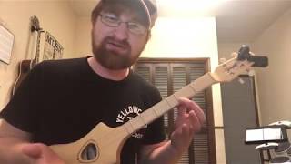 Video thumbnail for Seagull Merlin M4 Spruce - Review, Demo, First Lesson by Barret's Music