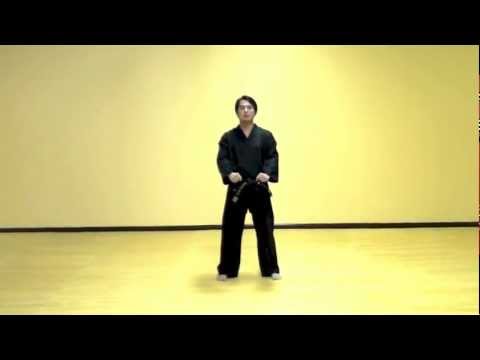 Chon Ji - Tae Kwon Do Pattern