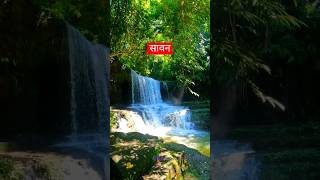 Download lagu Patjhad sawan basant bahar #shorts #short #viralshort #trendingshorts #shortvideo #ytshorts #pyar mp3 Download lagu Patjhad sawan basant bahar #shorts #short #viralshort #trendingshorts #shortvideo #ytshorts #pyar mp3