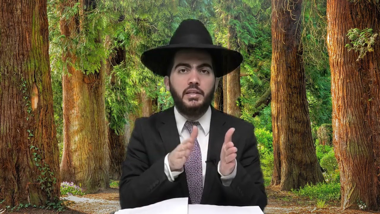 האם מותר לטלטל בחוף הים או בים? באיזה אופנים רחוב ניקרא כרמלית | הרב יצחק מאזו?