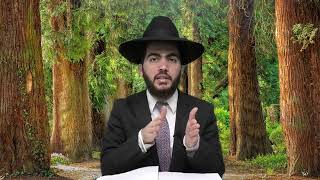 האם מותר לטלטל בחוף הים או בים? באיזה אופנים רחוב ניקרא כרמלית | הרב יצחק מאזוז | סימן שמה יג- יד (מוסדות כיסא רחמים) - התמונה מוצגת ישירות מתוך אתר האינטרנט יוטיוב. זכויות היוצרים בתמונה שייכות ליוצרה. קישור קרדיט למקור התוכן נמצא בתוך דף הסרטון האם מותר לטלטל בחוף הים או בים? באיזה אופנים רחוב ניקרא כרמלית | הרב יצחק מאזוז | סימן שמה יג- יד (מוסדות כיסא רחמים) - התמונה מוצגת ישירות מתוך אתר האינטרנט יוטיוב. זכויות היוצרים בתמונה שייכות ליוצרה. קישור קרדיט למקור התוכן נמצא בתוך דף הסרטון