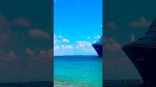 Carnival Celebration 🛳️ #share #like #subscribe #comment #cruise #vacation #shortvideo #shortsvideo