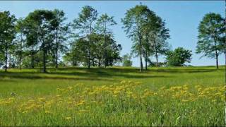 Bizet - Pearl Fishers