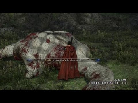 BERSERK and the Band of the Hawk | Wyald Boss Fight