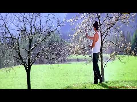 Jabse  Dekha Tumko Hum To Khoye Khoye | HD Video Song | Kuch Tum Kaho Kuch Hum Kahein