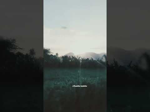 povoma orgolam#Chinna thambi# prabu,kusbu#love#SPB, Swarnalatha@Kashika kashika