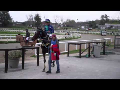 LAS PIEDRAS EN VIVO 9/06/23 -  URUGUAY