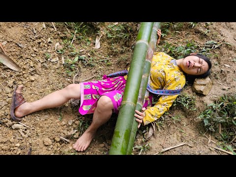 Hoang Thi Mai went into the forest alone and faced danger.