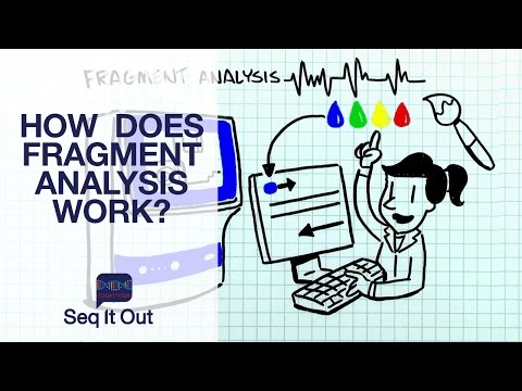 How does Fragment Analysis work? – Seq It Out #3