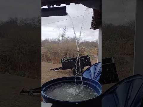 🇧🇷 CHUVA FORTE NO MUNICÍPIO DE POCINHO, PARAIBA 04/12/2025 #sitio #vidanaroça #fazenda #vidanaroça