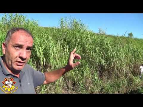 Vereador Abel e Prefeito Ayres promete transformar local de esgoto a céu aberto em praça de lazer para os moradores do Distrito dos Barnabés