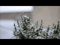 Snow Sound White Noise London 2021