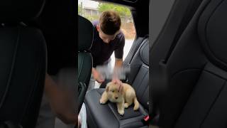 Surprising fiance with dream puppy