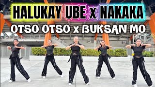 Download lagu HALUKAY UBE x NAKAKA x OTSO OTSO x BUKSAN MO MASHUP | Dj Choijay remix ft. Danza Carol Angels mp3 Download lagu HALUKAY UBE x NAKAKA x OTSO OTSO x BUKSAN MO MASHUP | Dj Choijay remix ft. Danza Carol Angels mp3