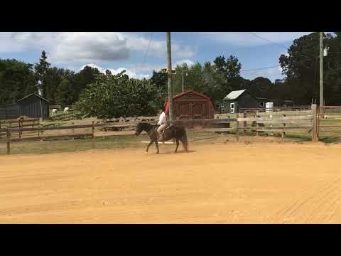 SCR Show 4 Class 49 English Pleasure W/T/C Cheyenne Robinson & Wonderley Pearl