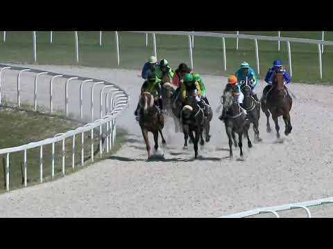 2019.08.11. 02. futam - SŐRNYEI HENDIKEP (II.o.) (szintetikus pálya)