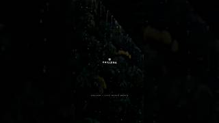 Download lagu chillena oru mazhai thuli | lyrical🎶video | whatsapp status | #song#love❤ #viral #trending #lyrics mp3 Download lagu chillena oru mazhai thuli | lyrical🎶video | whatsapp status | #song#love❤ #viral #trending #lyrics mp3