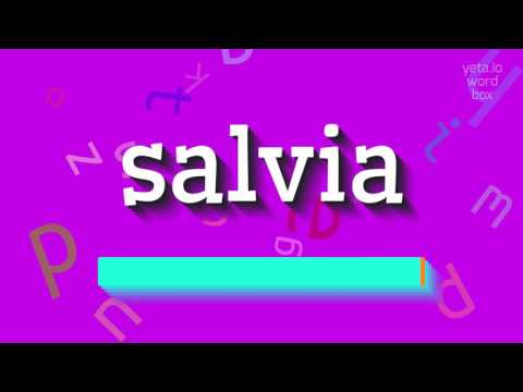 SALVIA - How to pronounce it?