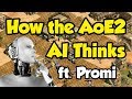 How The AoE2 AI Thinks Ft Promi